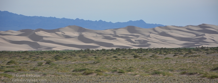 desert mongolie